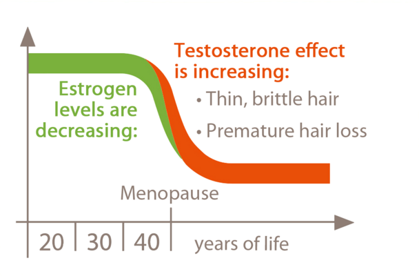 [Translate to en_HK:] Fall in oestrogen levels during the menopause