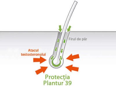 Atacul testosteronului, tulpina firului de păr, protecția oferită de Plantur 39 